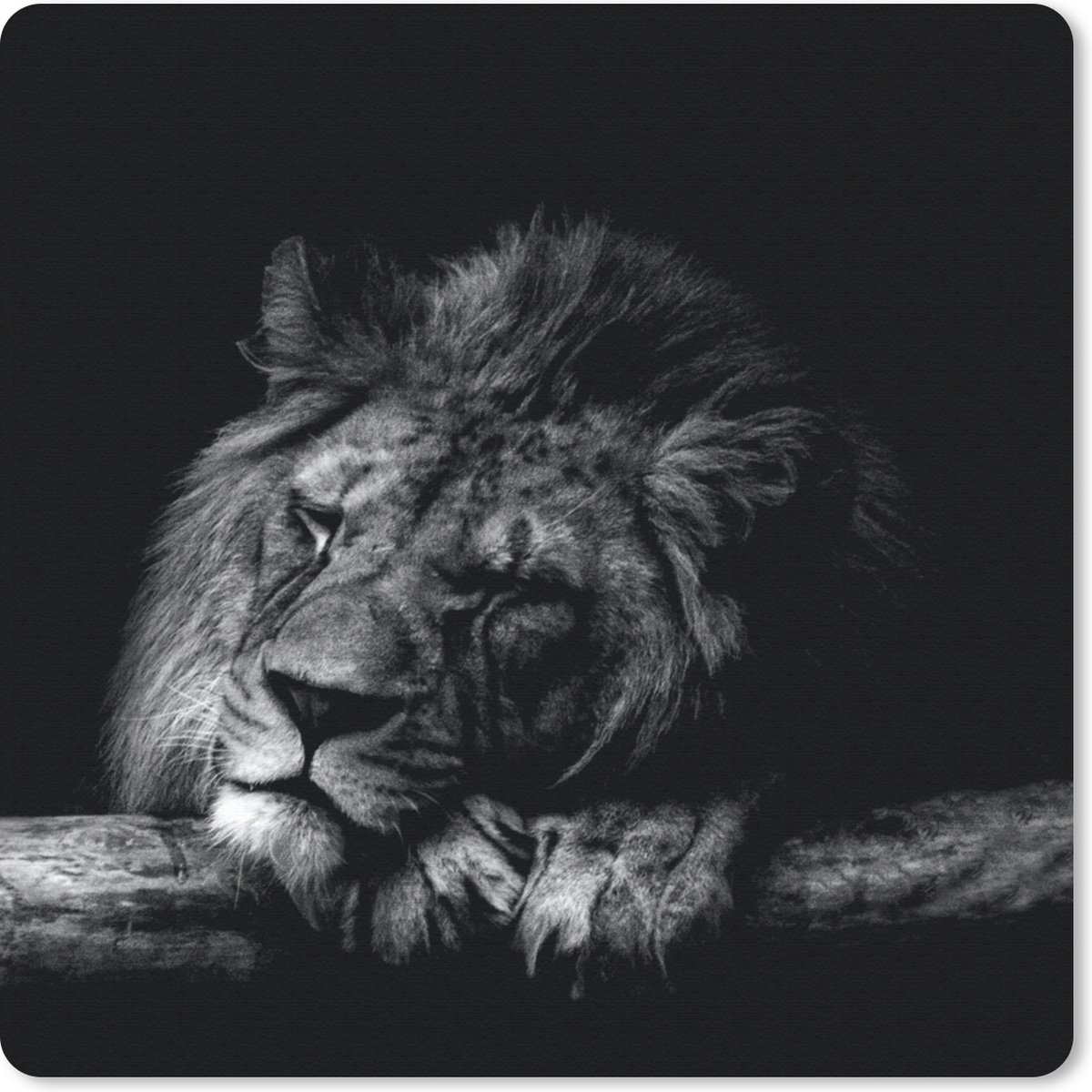 Muismat 30x30 cm - Mousepad Leeuw - Boom - Zwart - Wit - Muismatten