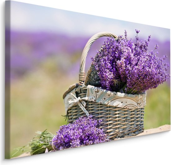 Schilderij - Lavendel in een Rieten Mand, Paars, premium print