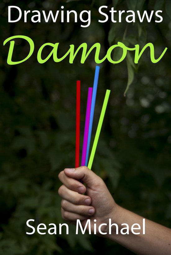 Drawing Straws 4 Drawing Straws Damon (ebook), Sean Michael 9781988377780 Boeken