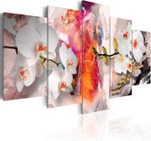 Schilderij - Colorful background and orchids.