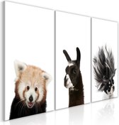 Schilderij - Friendly Animals (Collection).