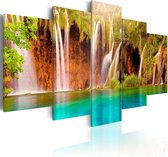 Schilderij - Forest waterfall.