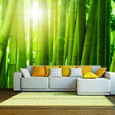 Fotobehangkoning - Behang - Vliesbehang - Fotobehang Bamboe met Zonnestralen - 400 x 309 cm