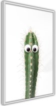 Funny Cactus I.