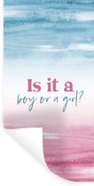 Muurstickers - Sticker Folie - Gender reveal - Boy or Girl - Jongetje of meisje - Roze - Blauw - Spreuken - 40x80 cm - Plakfolie - Muurstickers Kinderkamer - Zelfklevend Behang - Zelfklevend behangpapier - Stickerfolie