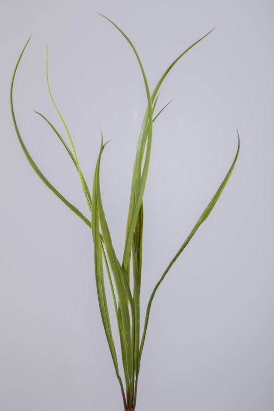 Kunsttak - Dracaena - topkwaliteit decoratie - 2 stuks - zijden plant - Groen - 56 cm hoog