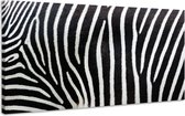 Schilderij - Zebra Strepen, zwart/wit, Premium print