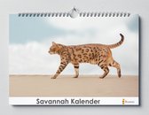 Calendrier des anniversaires du chat Savannah | 35X24CM | Calendrier des anniversaires chats gentils le chat de la savane