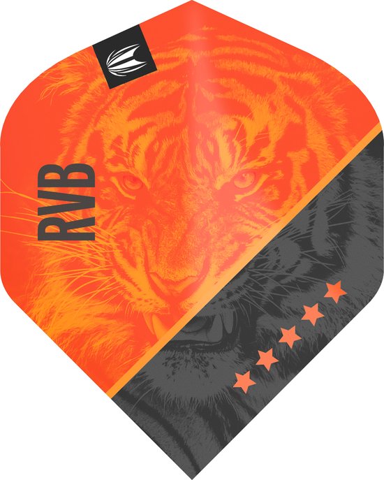 Target Raymond van Barneveld Dartflight G4 van Target — afbeelding 2