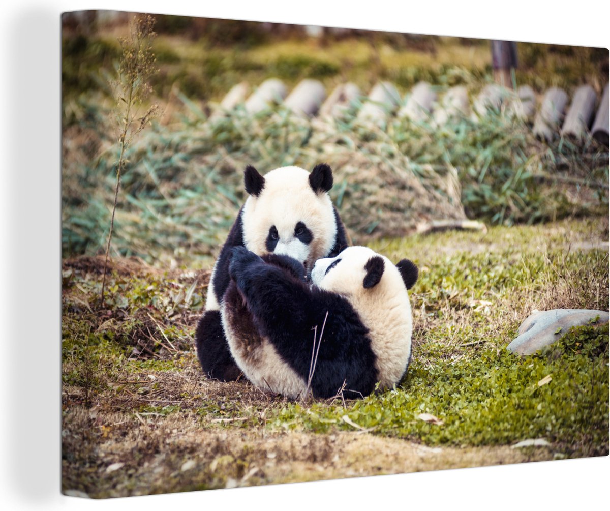 Canvas Schilderij Spelende baby panda's - 60x40 cm - Wanddecoratie