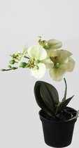 kunstplant - Orchidee in pot - butterfly - topkwaliteit plant - kamerplant - groen - 24 cm hoog