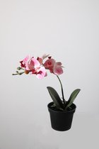 kunstplant - Orchidee in pot - butterfly - topkwaliteit plant - kamerplant - Roze - 24 cm hoog