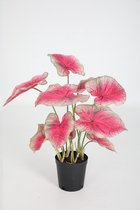 Caladium - kunstplant in pot - roze/paars - topkwaliteit plant - kamerplant - 61 cm