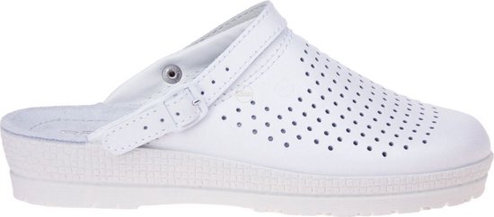 Chausson Rohde Witte