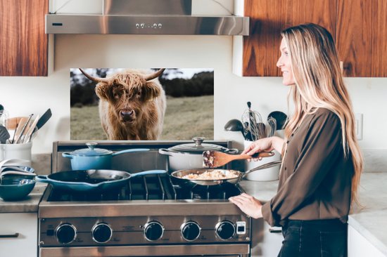 Spatscherm keuken 70x30 cm - Kookplaat achterwand Schotse hooglander - Boerderijdieren - Gras - Muurbeschermer - Spatwand fornuis - Hoogwaardig aluminium