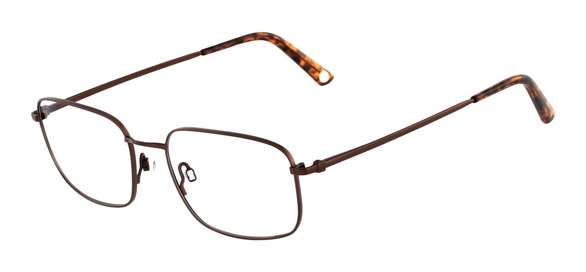 Flexon FLEXON BENJAMIN 600 (210) brown 56/18/145 MAN Brilmonturen