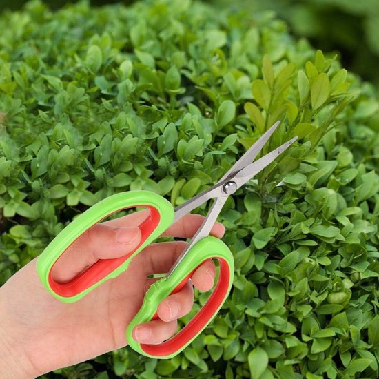 Bonsai schaar roestvrij staal - Japanse tuingereedschap - fruitboom tak trimmen - druivenschaar - professioneel gereedschap . van Merkloos	 — afbeelding 3