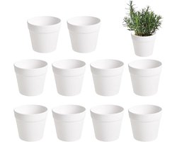 Kleine Vetplantenpotten - Kamerplant Potten - Binnen Tuinieren - Waterdicht Zonder Gaten - 11 x 11 x 11 cm