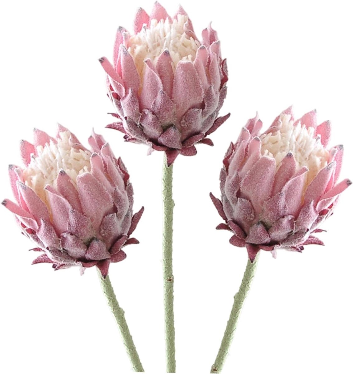 Kunstmatige Protea Bloemen - Nep Bloemen - Huis Decoratie - Real Touch Textuur - 60 cm Len