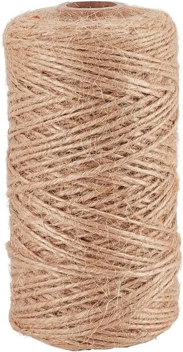 Jute Touw - Gevlochten Hennep - Decoratief Gebruik - Slank Ontwerp - 100 Meter - Natuurlijk