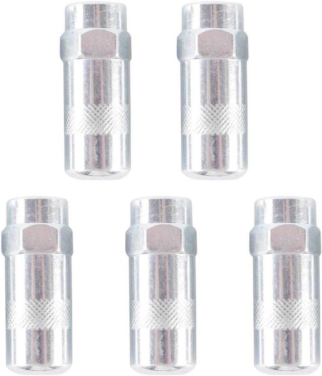 5-Pack Vetspuiten met Hoge Druk, Universele Spuitnaald voor 1/8 NPT Aansluitingen, Ideaal voor Onderhoud en Reparatie