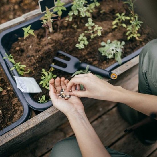 Fiskars Solid™ Plantvork - Cultivator - Tuingereedschap van Fiskars — afbeelding 3