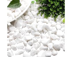 Decoratief grind - Witte stenen - Bloempotten aquaria - Natuurlijke esthetiek - 500 gram - Wit