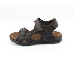 Panama Jack Salton basics C1
