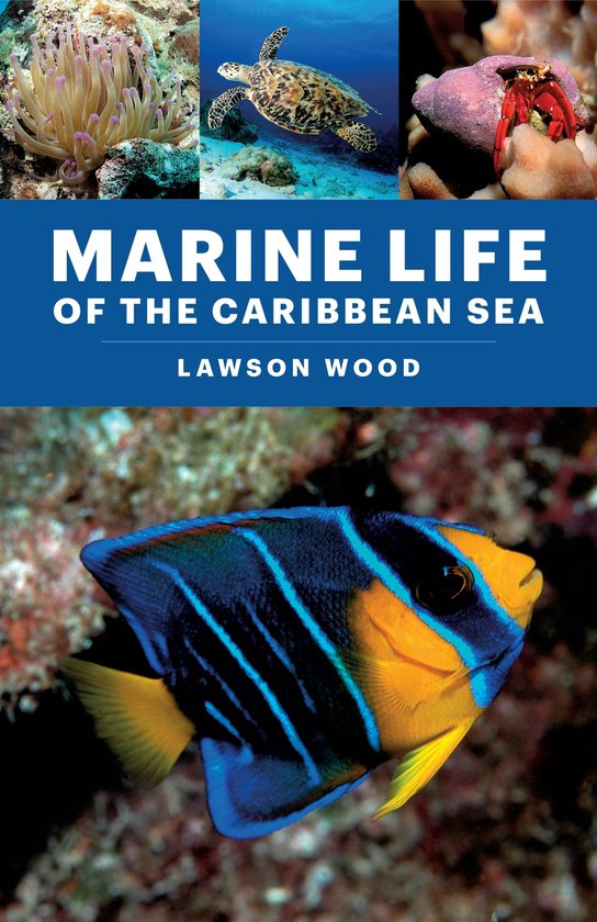 Marine Life of the Caribbean Sea - cover