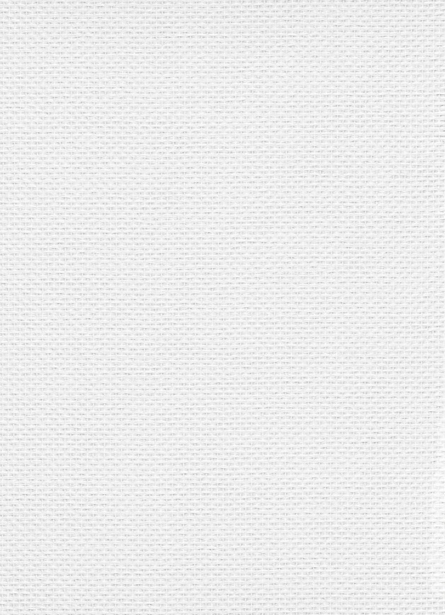 Erismann Vliesbehang 335701 - RollOver27 - Overschilderbaar Wit - 100cm x 25,00m