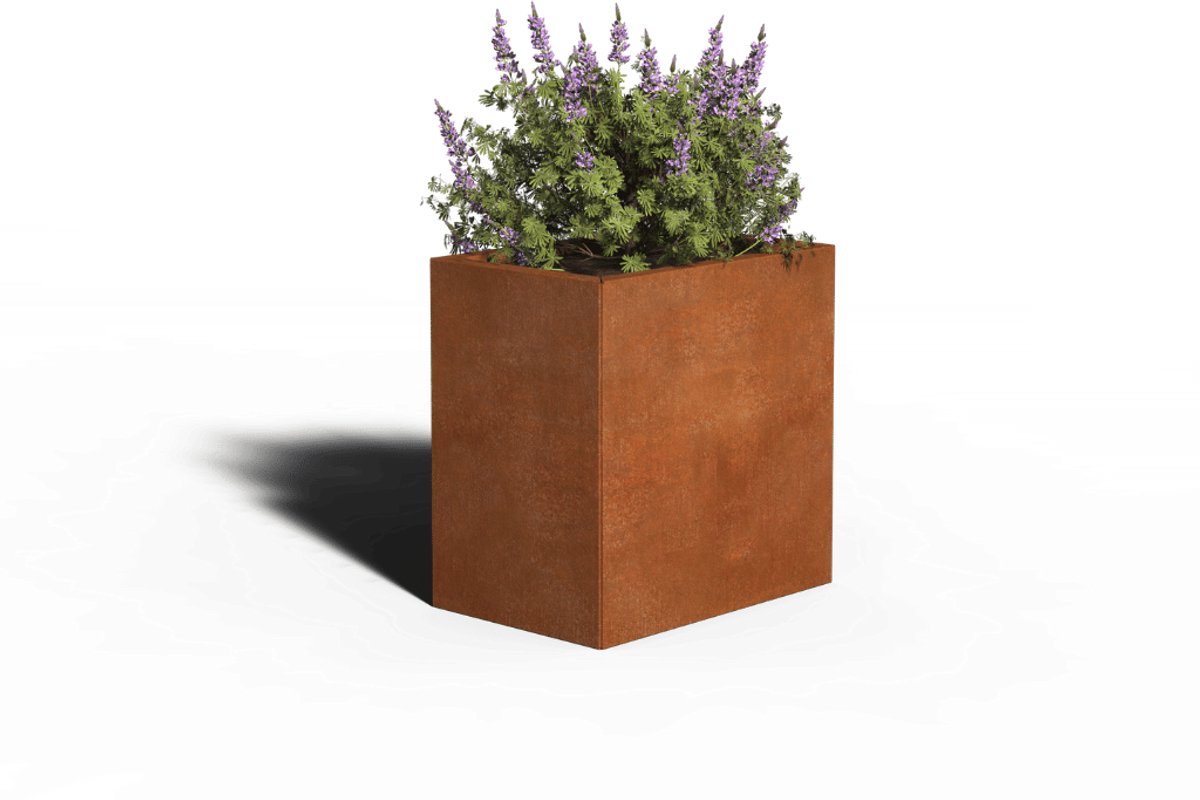 Cortenstaal Plantenbak Rechthoek | 60 x 40 x 80 | Zonder bodem