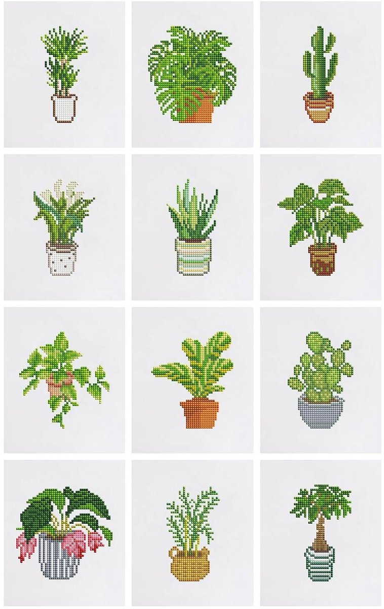 Topmelon Diamond painting volwassenen - set van 12 - 15X15CM / 15X18CM – Compleet Pakket voor beginners Plant 1