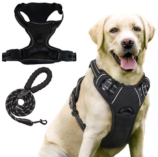 Labrador dans un harnais noir réfléchissant avec des sangles réglables et une laisse robuste. Harnais et laisse noirs également visibles séparément.