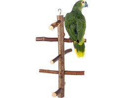 Langdurig gebruik van takken voor vogels - zitstokken, speeltoestellen, hangende takken, klimmogelijkheden en activiteiten voor parkieten