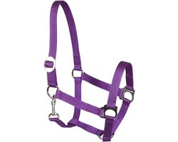 Kunststof Houder - Paarden Halster - Paardrijden Training - Optimale Pasvorm - Maat KB - Paars