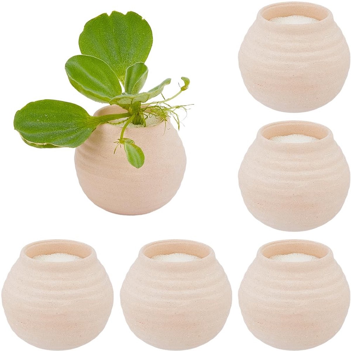 Dailygoods - Set van 6 Keramische Aquariumplantenpotten met Spons