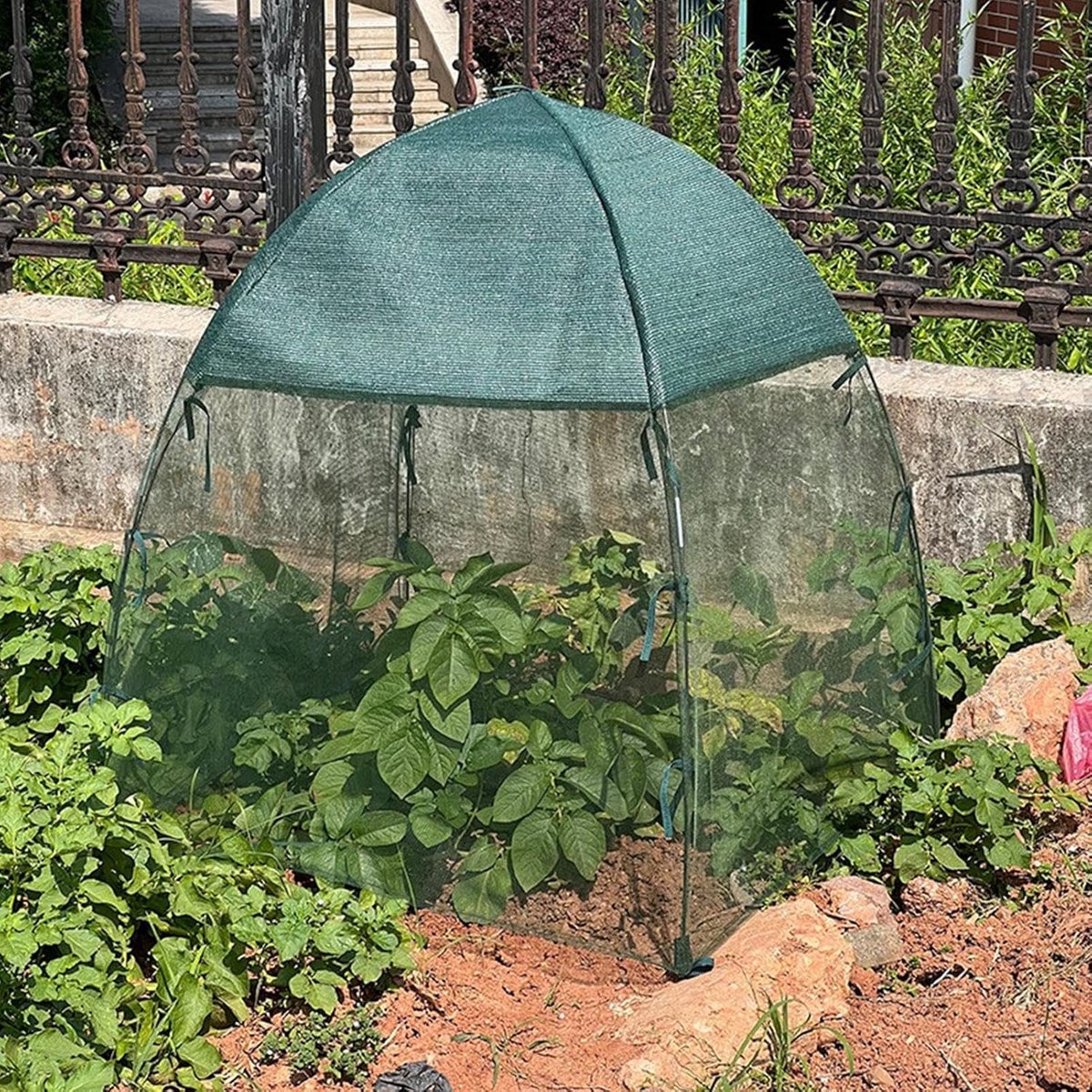 Kweekkas Bloemen - Planten Shelter - Bescherming Groenten - Transparant PE Gaas - 56x56x56 cm - Transparant