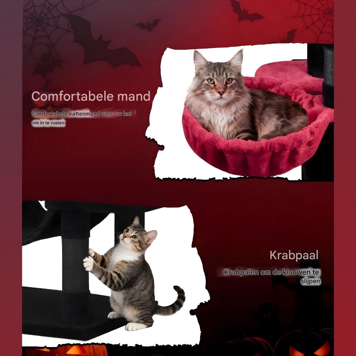 Happiq Kattenboom - Voor Binnengebruik en Maine Coon thumbnail 3
