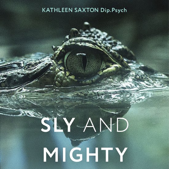 Sly and Mighty - cover