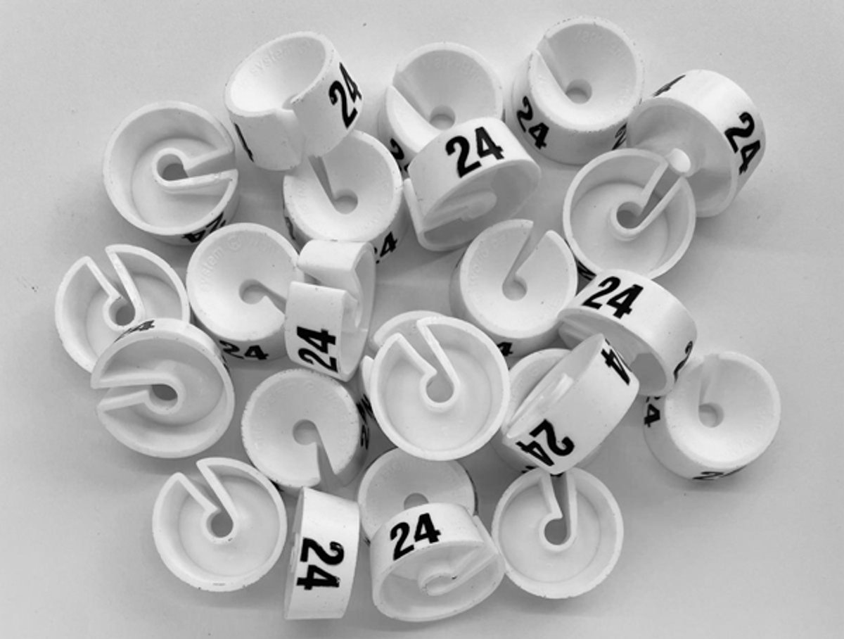Bleijenberg Maatdopje maat 24 wit - Maataanduiding voor kledinghangers per 25 stuks - Maatringetje Ø 20 mm - Kledinghangers - Kleerhanger - Kapstok - Mark-Brics - wisersizer