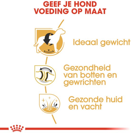 Gele illustraties met tekst: 'GEEF JE HOND VOEDING OP MAAT', 'Ideaal gewicht', 'Gezondheid van botten en gewrichten', 'Gezonde huid en vacht'