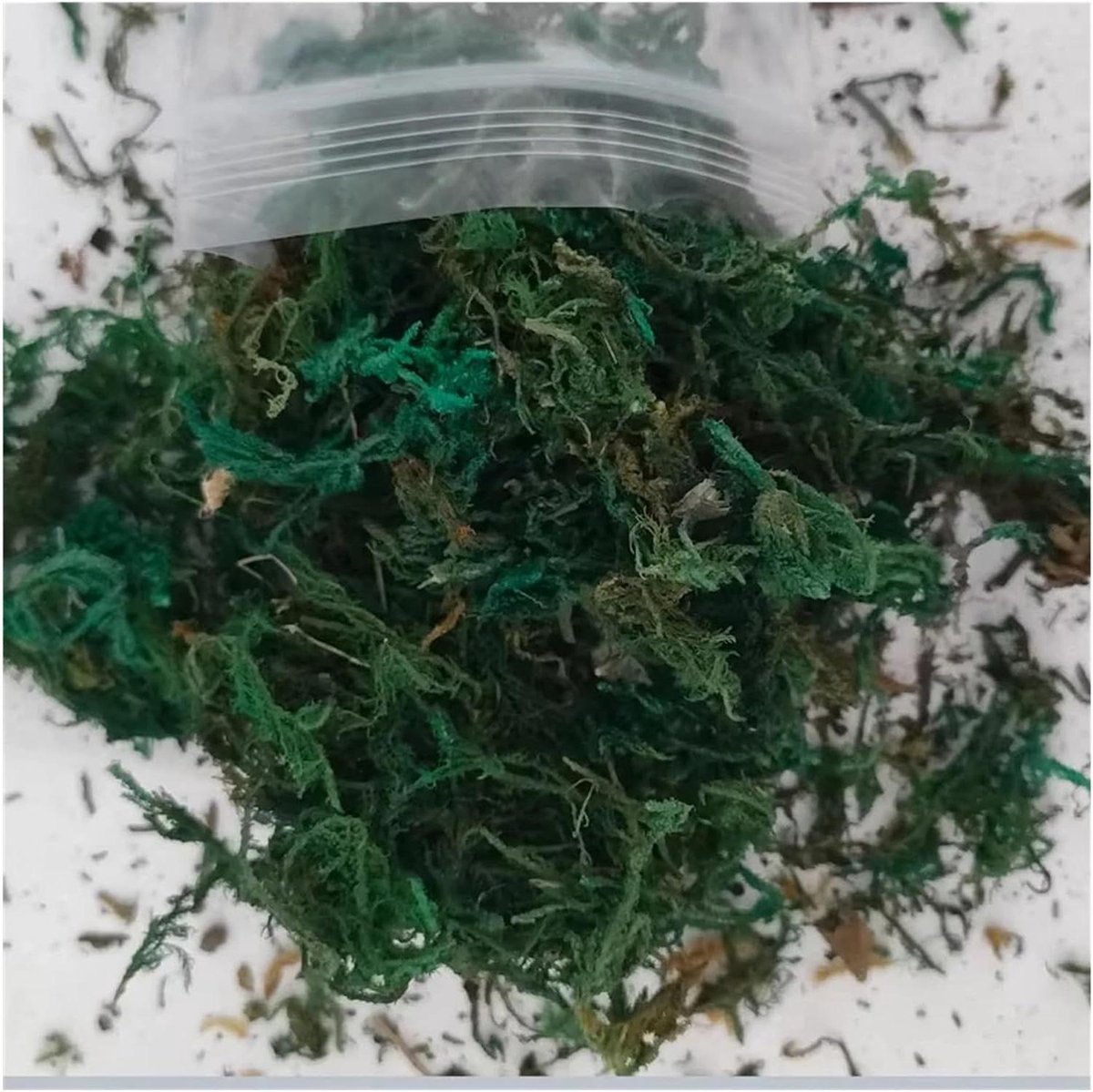 Kunstmos Gras - Diorama Materiaal - Modelbouw Landschap - Realistisch Groen - 10 gram - Groen