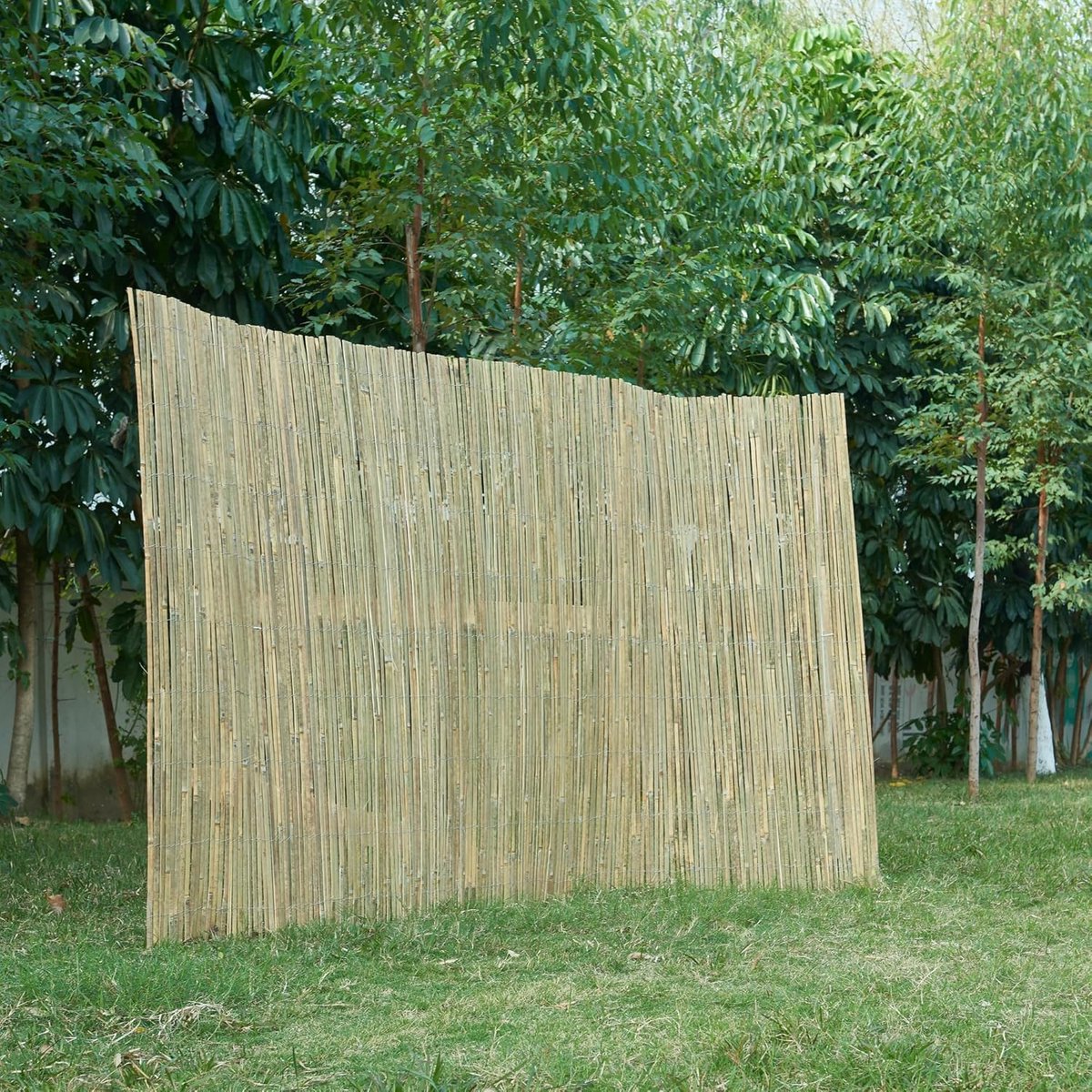 Bamboe scherm - Tuinscherm balkonscherm - Privacy creëren - Natuurlijk en duurzaam - 180x3