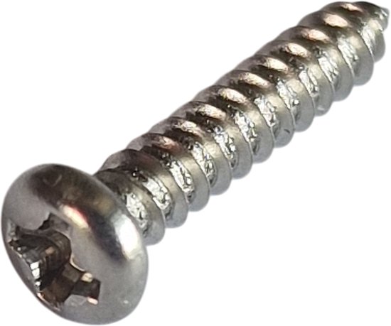 Een enkele metalen schroef met kruiskop