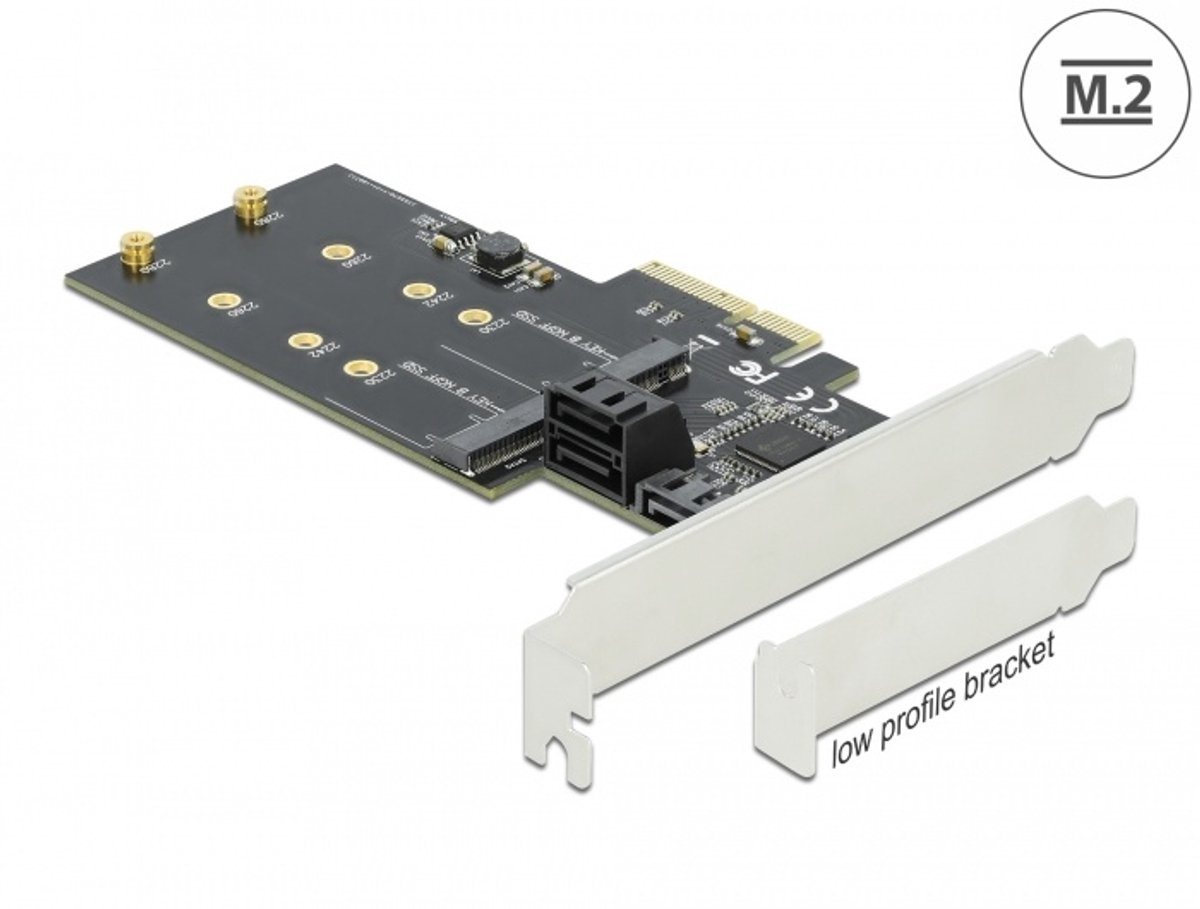 Delock 3 port SATA and 2 slot M.2 Key B PCI Express x4 Card - Low Profile Form Factor