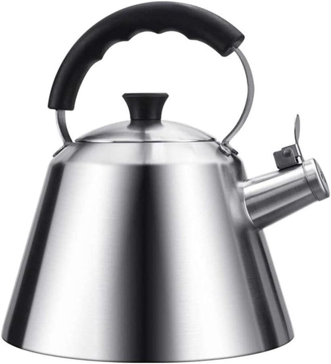 Theeketel Roestvrij Staal - Fluitketel Waterkoker - Water Koken - Opvouwbaar Handvat - 3 Liter - Zilverkleurig