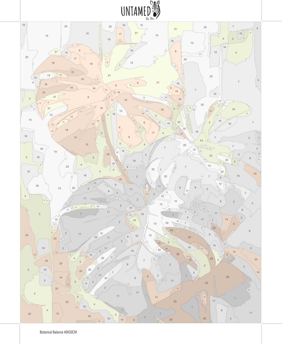 MET FRAME - Paint by numbers Volwassenen – schilderen op nummer – Creatieve hobby – Ontspanning thuis – Cadeau idee – Compleet pakket – DIY decoratie – Botanisch – Bladeren – Botanical Balance — afbeelding 6