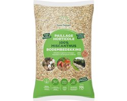 Mulch Miscanthus Olifantengras Grondbedekking Tuin Green Elephant