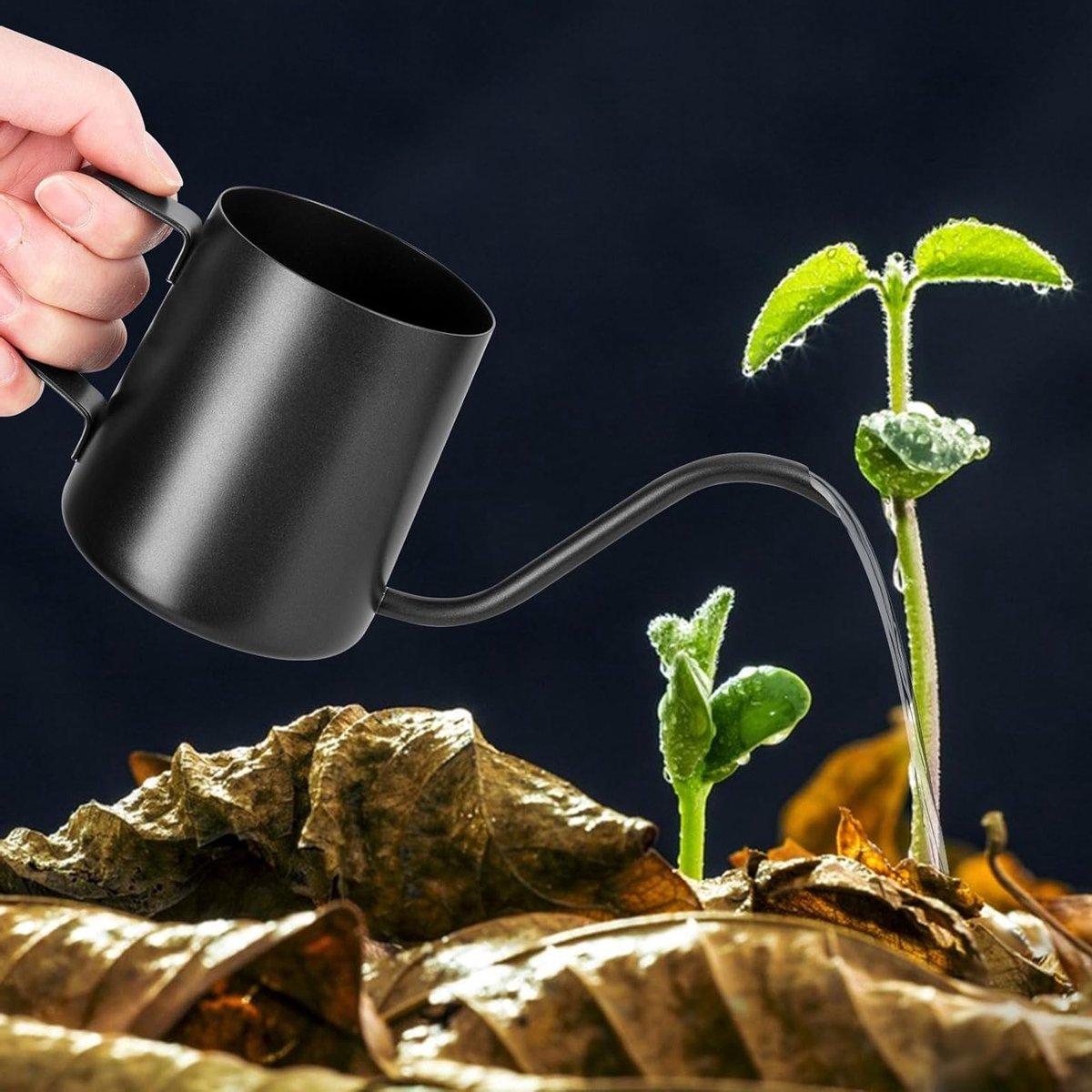 Mini Gieter voor Kamerplanten, 250 ml, Zwart, RVS, Lange Tuit, Ideaal voor Vetplanten en Bloemen