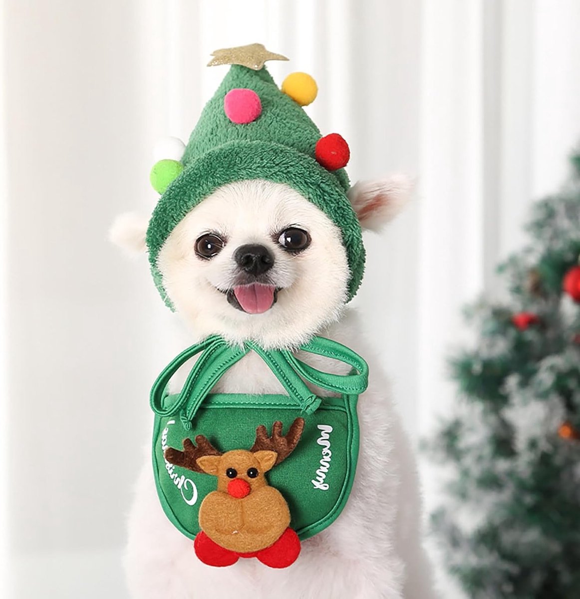 Schattig kerstkostuum voor honden en katten - 2-delige set met feesthoed en slabbetje voor kleine en middelgrote huisdieren (groen)